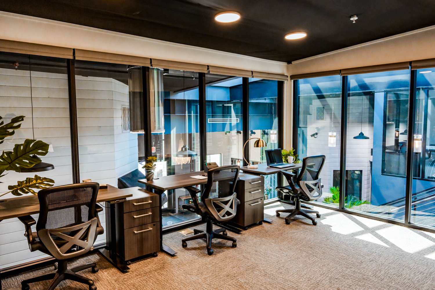 The Film Hub team office space with multiple desks and windows