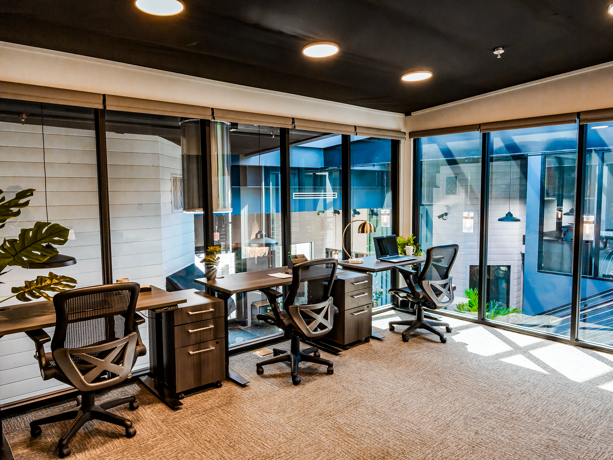 The Film Hub team office space with multiple desks and windows